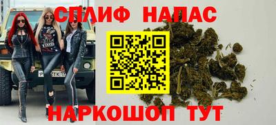 прущие грибы Беслан