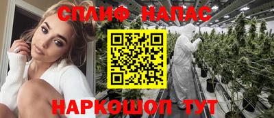 прущие грибы Беслан