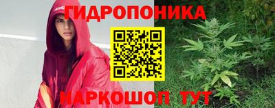 прущие грибы Беслан