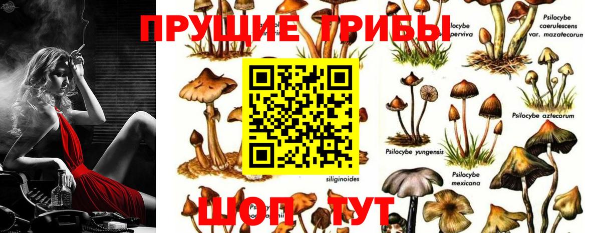Псилоцибиновые грибы Psilocybe  Галлюциногенные грибы Psilocybine cubensis  Кандалакша  Вход с VPN 